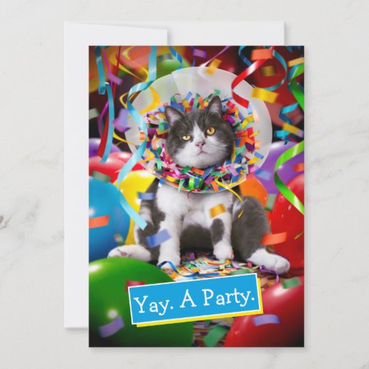 Katze im Party Einladung (Vorderseite)