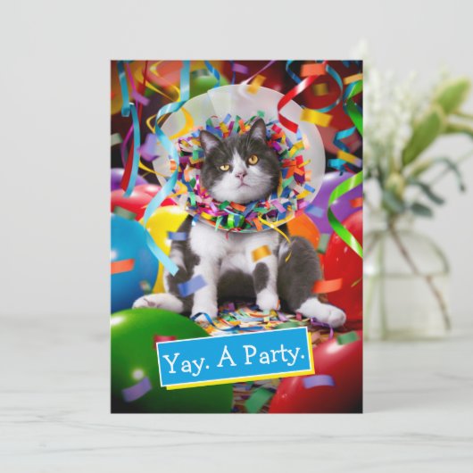 Katze im Party Einladung (Stehend Vorderseite)