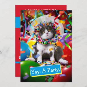 Katze im Party Einladung