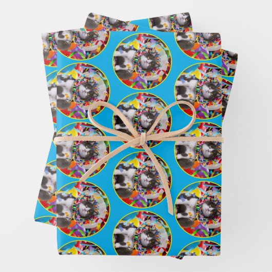 Katze im Party Geschenkpapier Set (Beispiel)