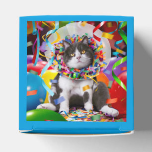 Katze im Party Geschenkschachtel
