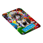 Katze im Party Magnet (Rechte Seite)
