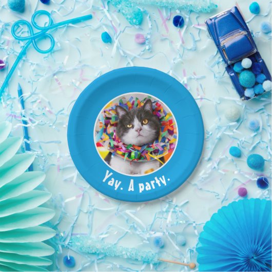 Katze im Party Pappteller (Party)