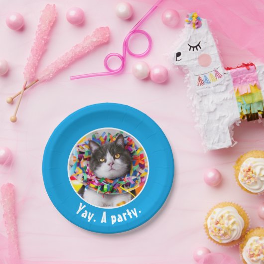 Katze im Party Pappteller (Party)