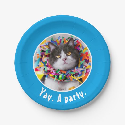 Katze im Party Pappteller (Vorderseite)