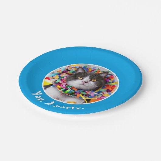 Katze im Party Pappteller (Schrägansicht)