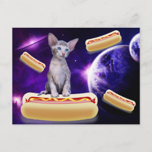 KATZE IM RAHMEN VON HUNDEN POSTCARD POSTKARTE