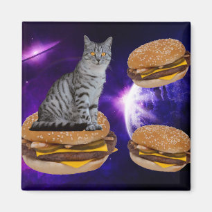 KATZE IM RAUM MIT KÄSTERGERÄTEN-Magnet Magnet