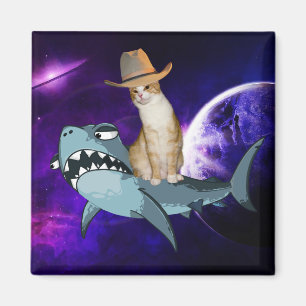 KATZE IM RAUMFAHRTBEREICH BILDET EIN SCHARKES MAGN MAGNET