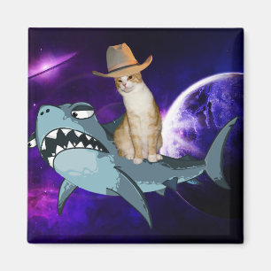 KATZE IM RAUMFAHRTBEREICH BILDET EIN SCHARKES MAGN MAGNET