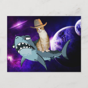 KATZE IM RAUMFAHRTBEREICH MIT EINER SCHARKEN POSTK POSTKARTE