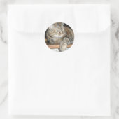 Katze im Regal Runder Aufkleber (Tasche)
