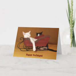 Katze im Schlitten Spaß Weihnachtskarte Feiertagskarte