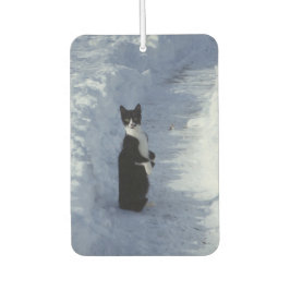 Katze im Schnee Autolufterfrischer