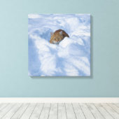 Katze im Schnee Leinwanddruck (Insitu (Holzboden))