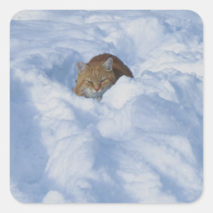 Katze im Schnee Quadratischer Aufkleber