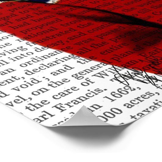 Katze im Ski Sweater Poster (Ecke)