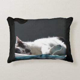 Katze im Sonnenfleck stört nicht Dekokissen