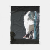 Katze im Sonnenfleck stört nicht Fleecedecke (Vorderseite)
