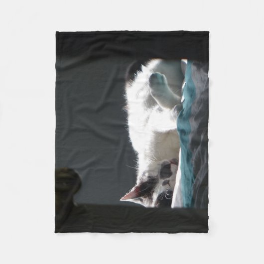 Katze im Sonnenfleck stört nicht Fleecedecke (Vorderseite)