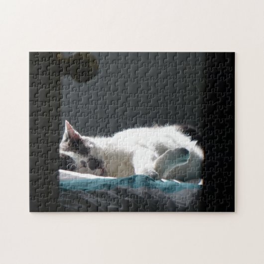 Katze im Sonnenfleck stört nicht Puzzle (Horizontal)