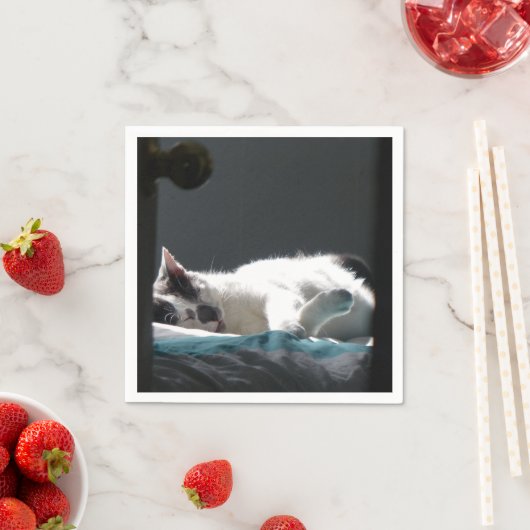 Katze im Sonnenfleck stört nicht Serviette (Beispiel)