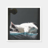 Katze im Sonnenfleck stört nicht Serviette (Vorderseite)