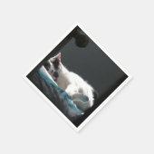 Katze im Sonnenfleck stört nicht Serviette (Ecke)