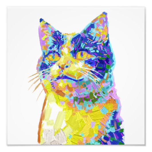 Katze im Sonnenlicht Fotodruck (Vorne)