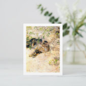 Katze im Sonnenschein, Bruno Liljefors Postkarte (Stehend Vorderseite)