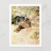 Katze im Sonnenschein, Bruno Liljefors Postkarte (Vorderseite)