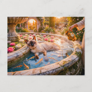 Katze im Springbrunnen des Sonnenuntergangsgartens Postkarte