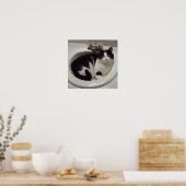 Katze im Spülbecken Poster (Küche)
