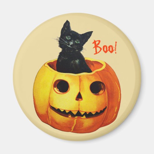 Katze im Vintagen Halloween-Magnet Kürbis Magnet (Vorne)