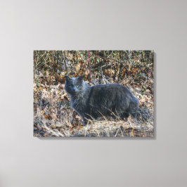 Katze im Wald Leinwanddruck