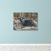 Katze im Wald Leinwanddruck (Insitu (Holzboden))