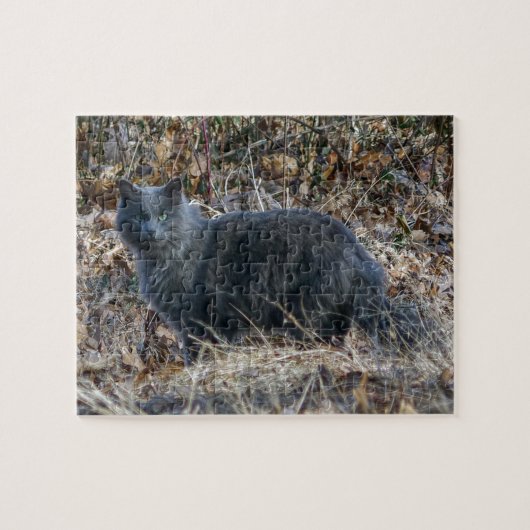 Katze im Wald Puzzle (Horizontal)