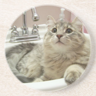 Katze im Wannen-Untersetzer Sandstein Untersetzer