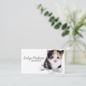 Katze im Weißen Visitenkarte (Stehend Vorderseite)