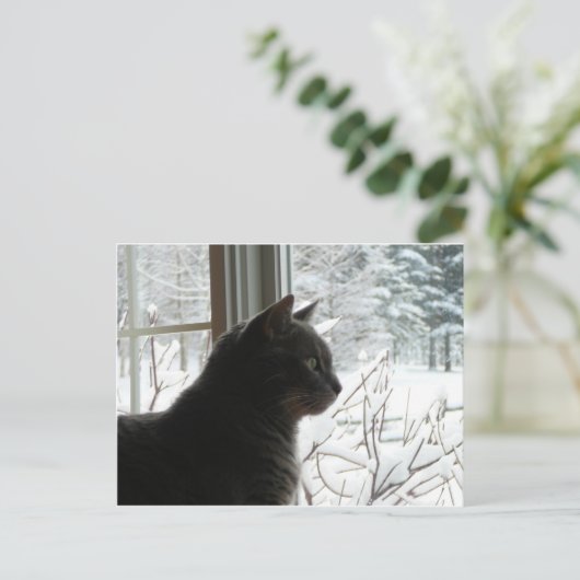 Katze im Winter Postkarte (Stehend Vorderseite)