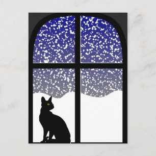 Katze im Winter Postkarte