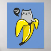 Katze in Banane Poster (Vorne)