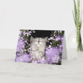 Katze in Blume (Vorderseite)