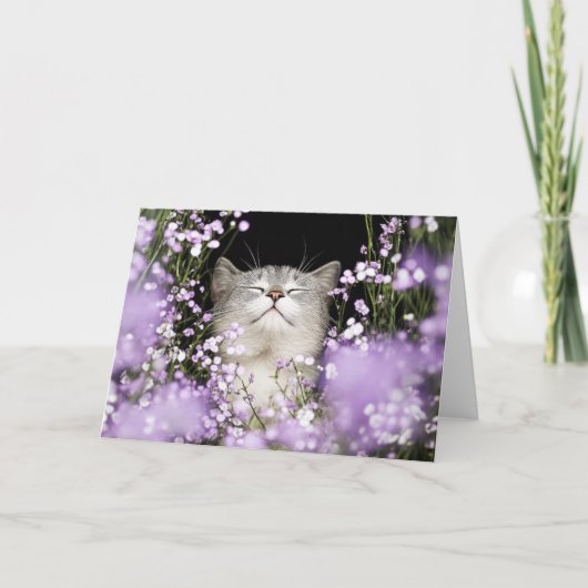 Katze in Blume (Vorderseite)