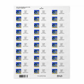 Katze in Blume (Vorne)