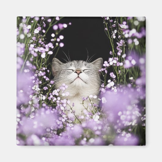 Katze in Blume Magnet (Vorne)