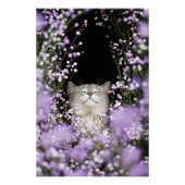 Katze in Blume Poster (Vorderseite)