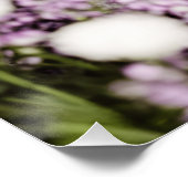 Katze in Blume Poster (Ecke)