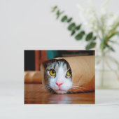 Katze in braunem Papier verpackt Postkarte (Stehend Vorderseite)