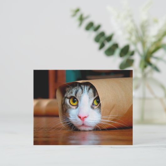 Katze in braunem Papier verpackt Postkarte (Stehend Vorderseite)